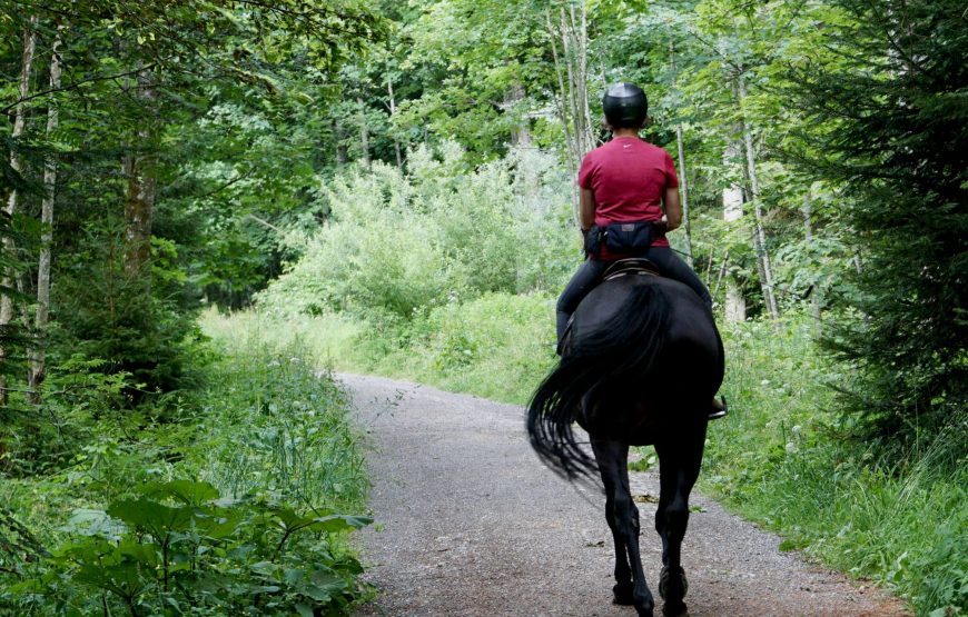Horseback Riding in Jinja