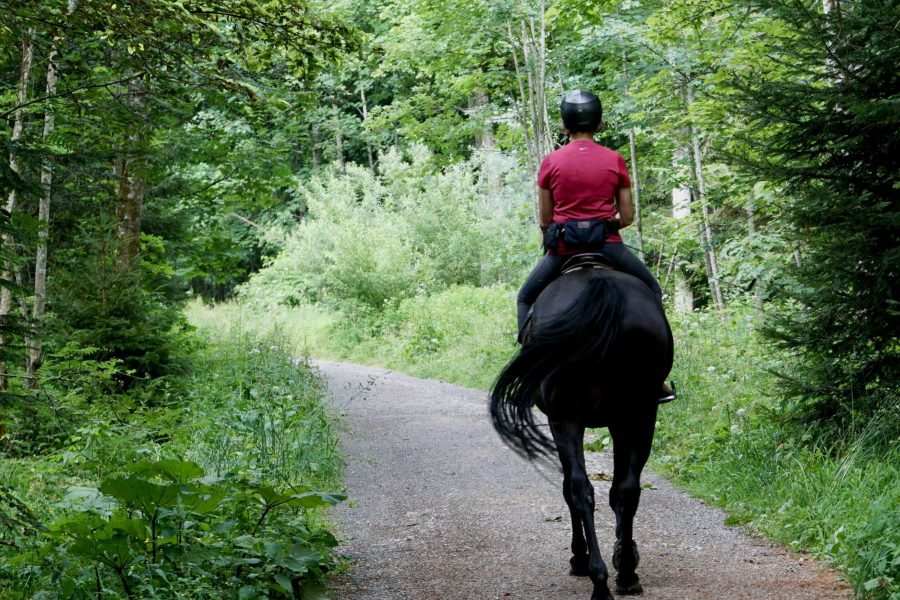 Horseback Riding in Jinja