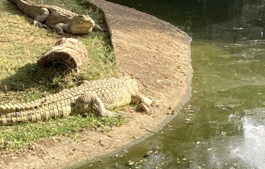 Entebbe Zoo